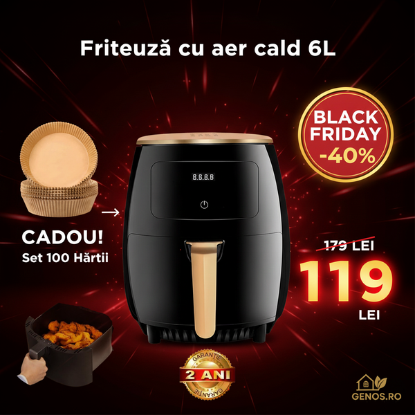 Friteuză cu aer cald Air Fryer 6L – Control Touch + 100 hârtii cadou
